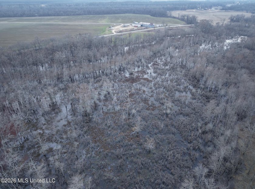 If you've been looking for a true waterfowl setup, this 37+/- - photo 24