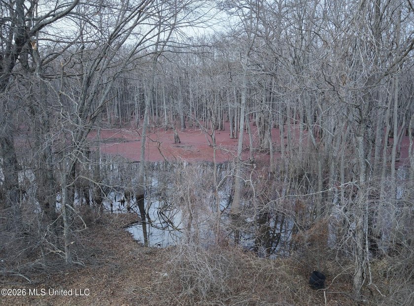 If you've been looking for a true waterfowl setup, this 37+/- - photo 29