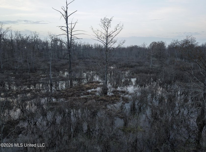 If you've been looking for a true waterfowl setup, this 37+/- - photo 32