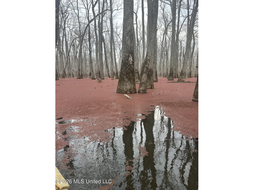 If you've been looking for a true waterfowl setup, this 37+/- - photo 35