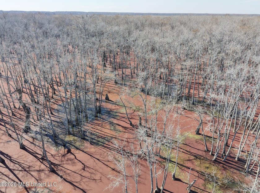 If you've been looking for a true waterfowl setup, this 37+/- - photo 40