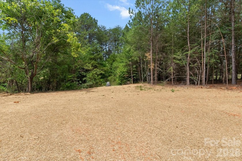 New Construction ranch home on large lot with bonus room above - photo 8