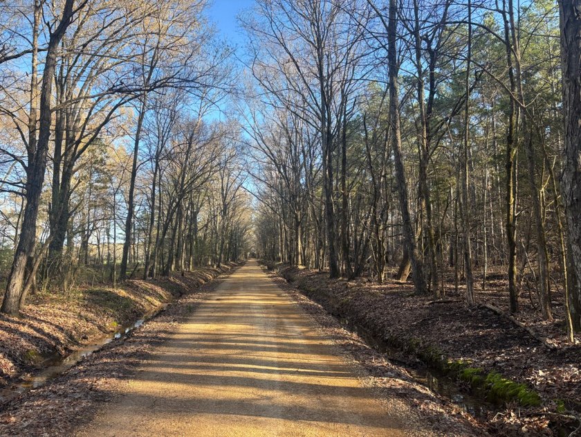 This 86.44 surveyed-acre property offers an excellent blend of - photo 16