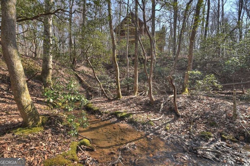 Endless Adventure Awaits where the Heart of the Cohutta - photo 6