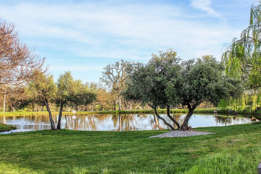 Discover an exceptional opportunity with this .25-acre flat - photo 7