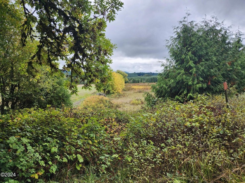 Escape to the serene beauty of Alsea, Oregon, with this unique - photo 2