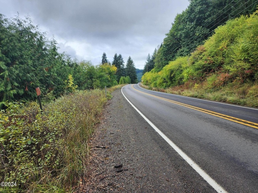 Escape to the serene beauty of Alsea, Oregon, with this unique - photo 3