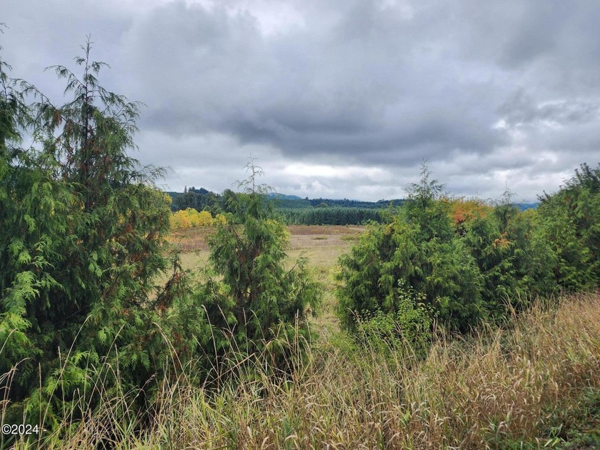 Escape to the serene beauty of Alsea, Oregon, with this unique - photo 4