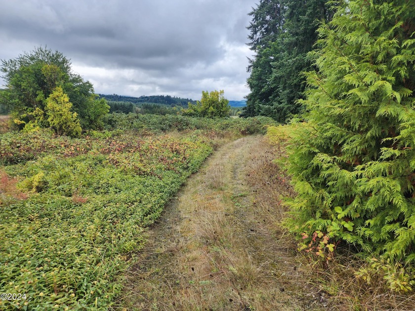 Escape to the serene beauty of Alsea, Oregon, with this unique - photo 7