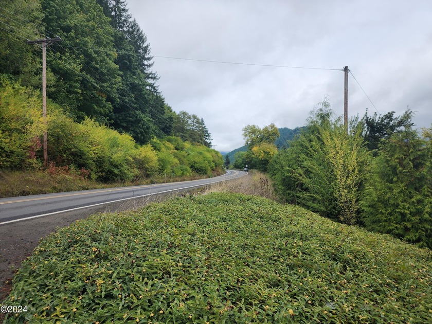 Escape to the serene beauty of Alsea, Oregon, with this unique - photo 8