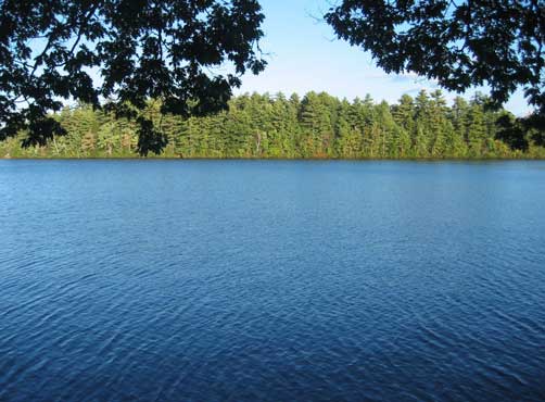 Spofford Lake