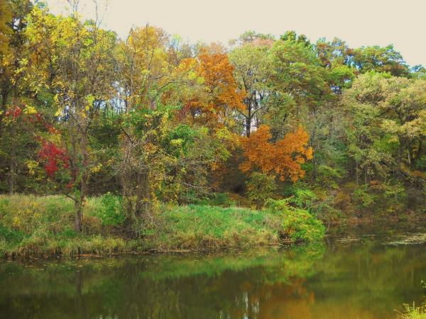 Lake Wildwood - Marshall County
