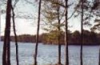 Lake Hawkins
