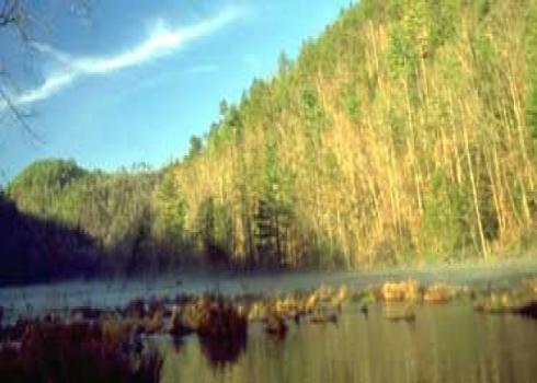 Lake Manitou