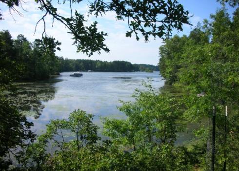Minong Flowage