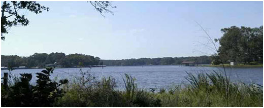 Lake Holbrook