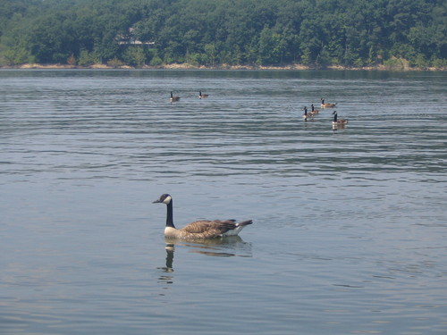 Lake Monroe