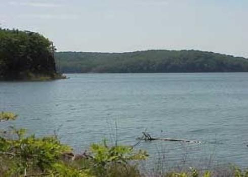 Truman Lake