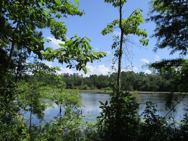 Lake Galahad - Timber Lakes 