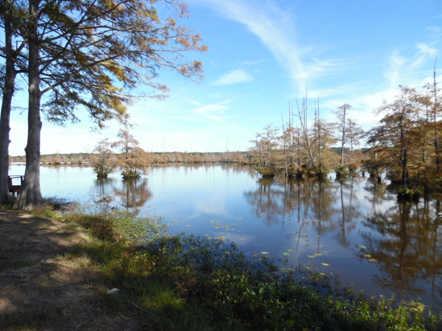 Calion Lake