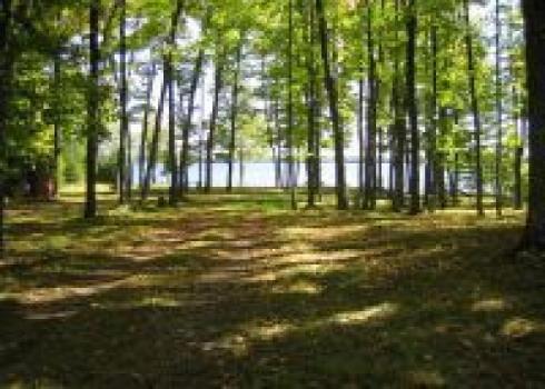 Pine Lake - Waukesha County