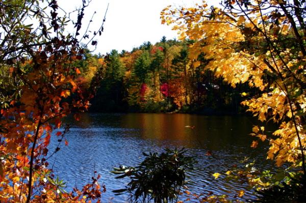 Whisper Lake