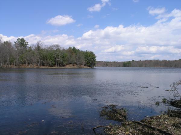 Swinging Bridge Lake