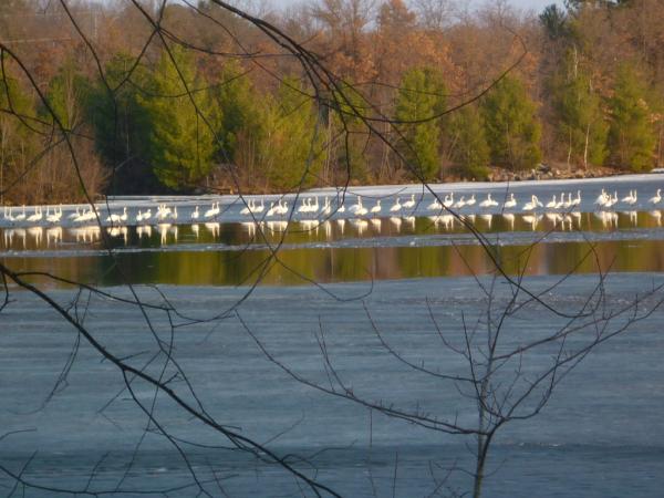 Old Abe Lake