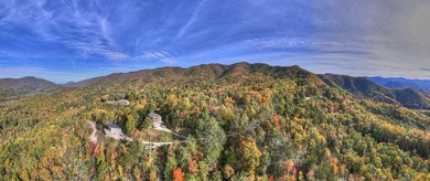Welcome to Grand View Falls, where this custom-built residence - photo 6