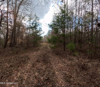 176 Acres near Mendenhall, MS The land is a strong mix for - photo 11
