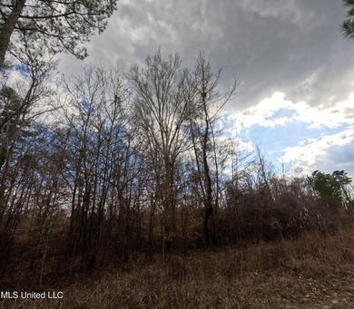 176 Acres near Mendenhall, MS The land is a strong mix for - photo 13