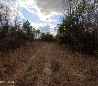 176 Acres near Mendenhall, MS The land is a strong mix for - photo 14