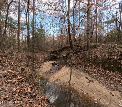 176 Acres near Mendenhall, MS The land is a strong mix for - photo 17
