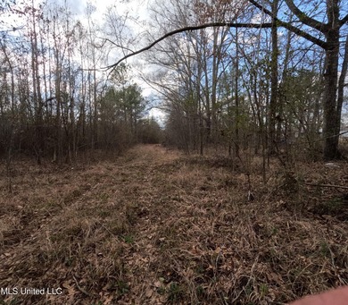 176 Acres near Mendenhall, MS The land is a strong mix for - photo 18