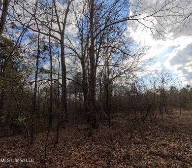 176 Acres near Mendenhall, MS The land is a strong mix for - photo 20