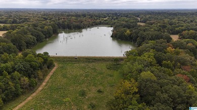 (private lake, pond, coastal) Acreage For Sale in Pine Apple Alabama