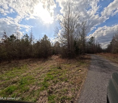 176 Acres near Mendenhall, MS The land is a strong mix for - photo 21