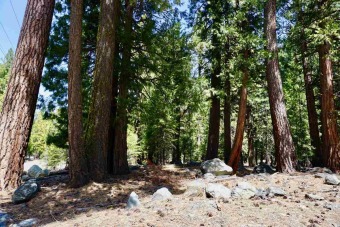 (private lake, pond, creek) Lot For Sale in Graeagle California