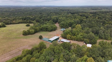 Alabama Hunting land, a premier hunting and fishing destination