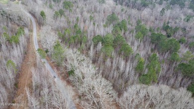 176 Acres near Mendenhall, MS The land is a strong mix for - photo 22
