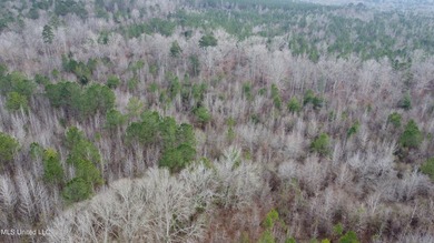 176 Acres near Mendenhall, MS The land is a strong mix for - photo 23