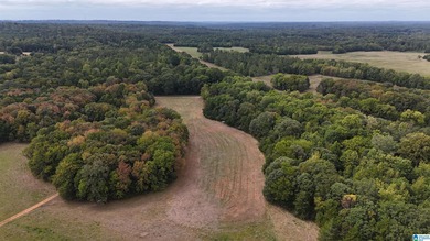 Alabama Hunting land, a premier hunting and fishing destination