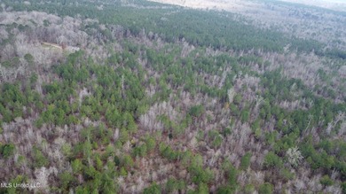 176 Acres near Mendenhall, MS The land is a strong mix for - photo 27