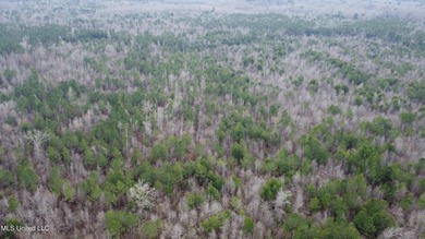 176 Acres near Mendenhall, MS The land is a strong mix for - photo 28