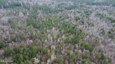 176 Acres near Mendenhall, MS The land is a strong mix for - photo 29