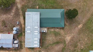 Alabama Hunting land, a premier hunting and fishing destination