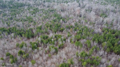 176 Acres near Mendenhall, MS The land is a strong mix for - photo 30