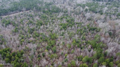 176 Acres near Mendenhall, MS The land is a strong mix for - photo 31