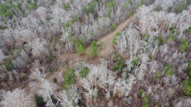 176 Acres near Mendenhall, MS The land is a strong mix for - photo 32