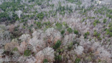 176 Acres near Mendenhall, MS The land is a strong mix for - photo 33